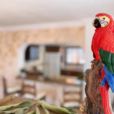 Marysol Villa El Sauzal